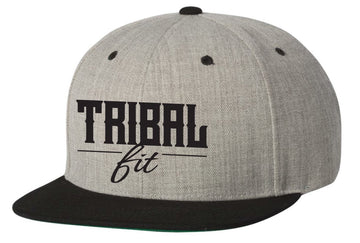 Gray Cloth Snapback