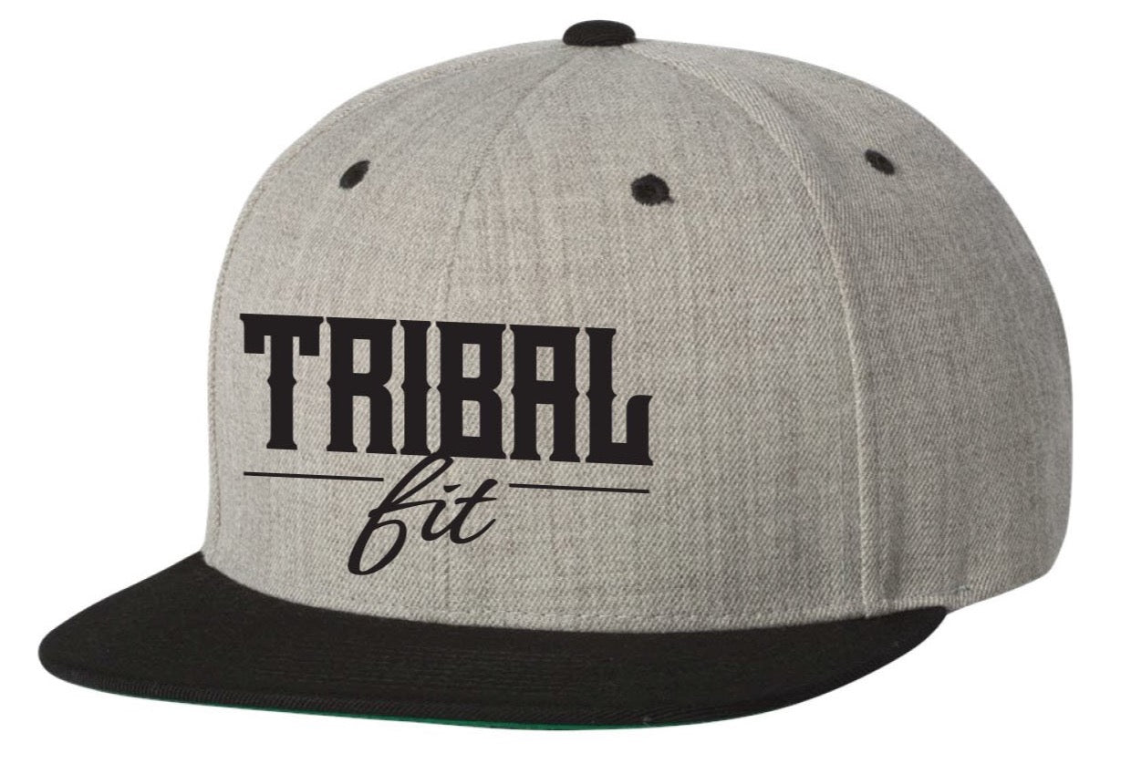 Gray Cloth Snapback